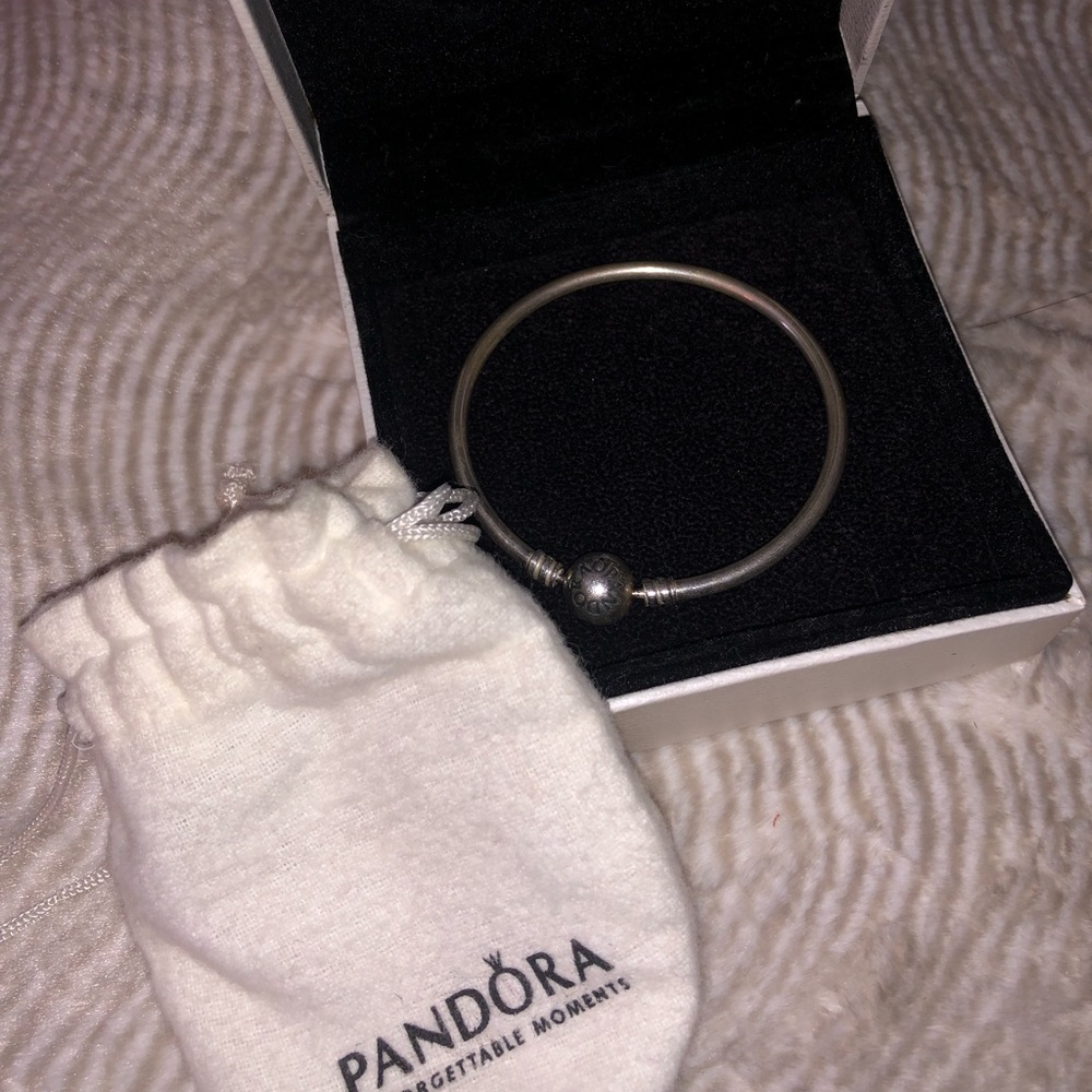 Silver pandora bracelet